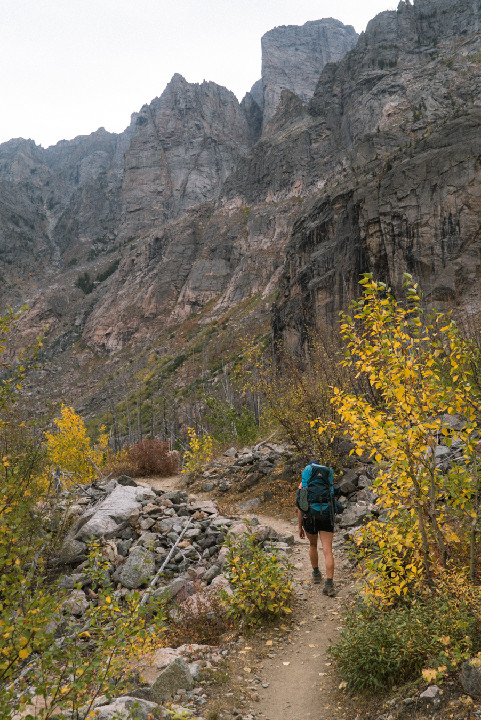 Fall Color in East Rosebud