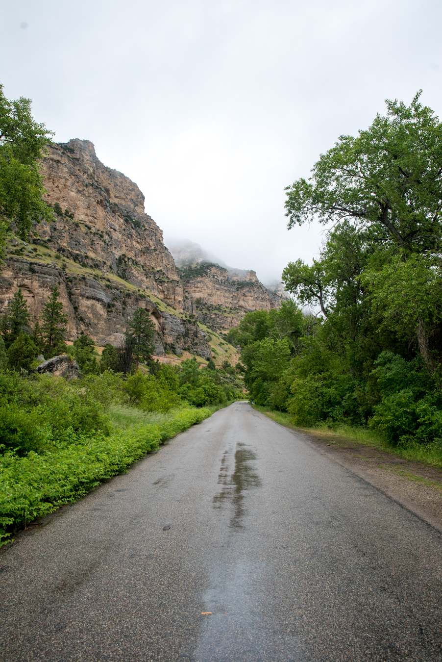 Rainy mornings in Ten Sleep Canyon