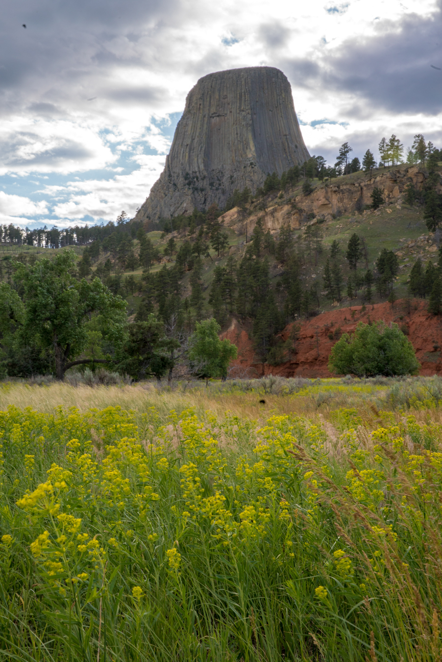 View from Devils Tower KOA