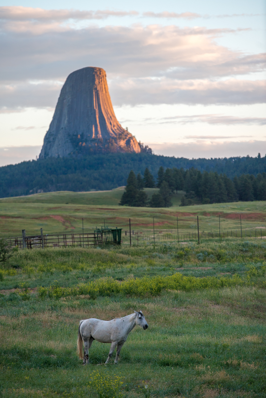 Devils Tower Sunset